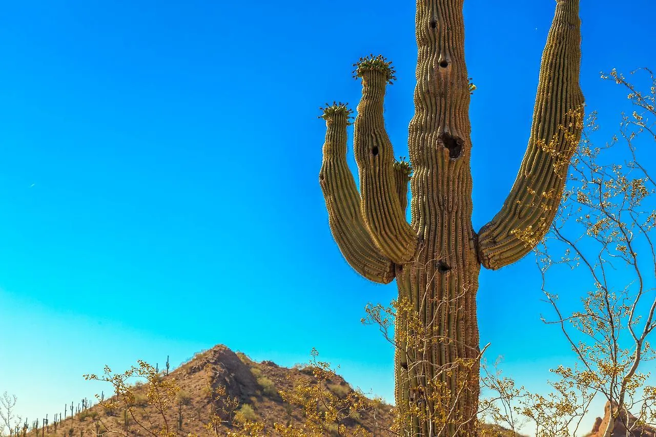 Desert Foothills Phoenix