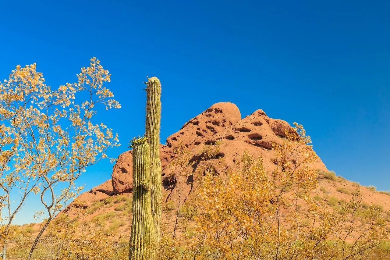 Desert Foothills Phoenix United States